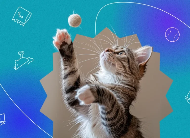 Cat Toy: interactive cat ball